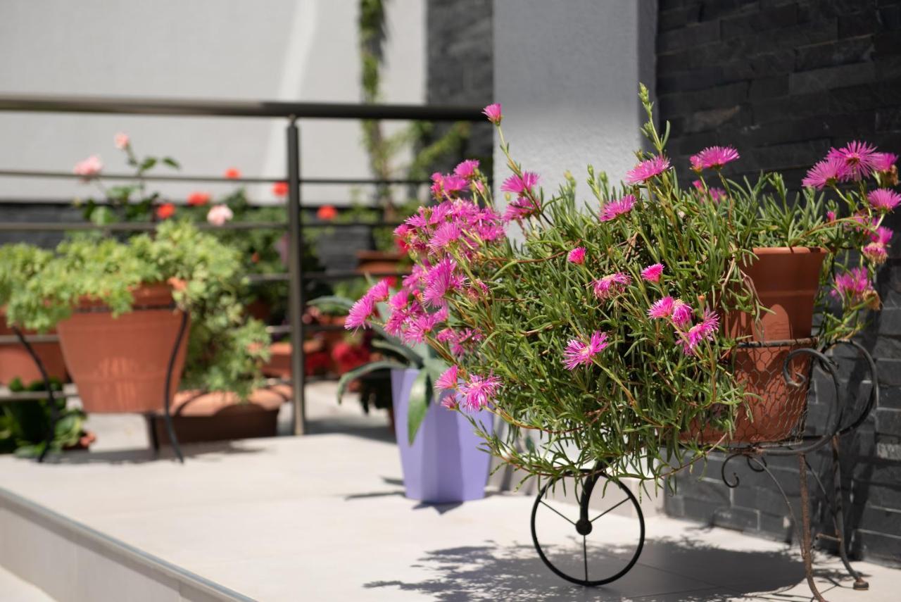 Almare Seaside Studios & Suites - Sarti Sithonia מראה חיצוני תמונה